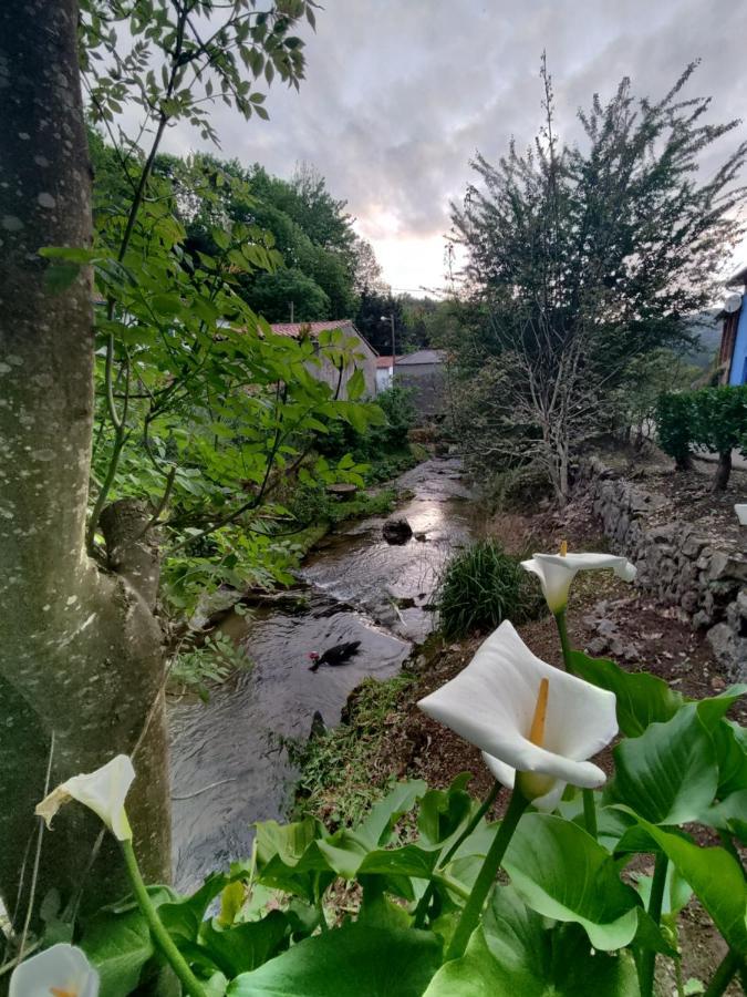 Casa La Cobaraza Vivienda Vacacional Llanes Buitenkant foto